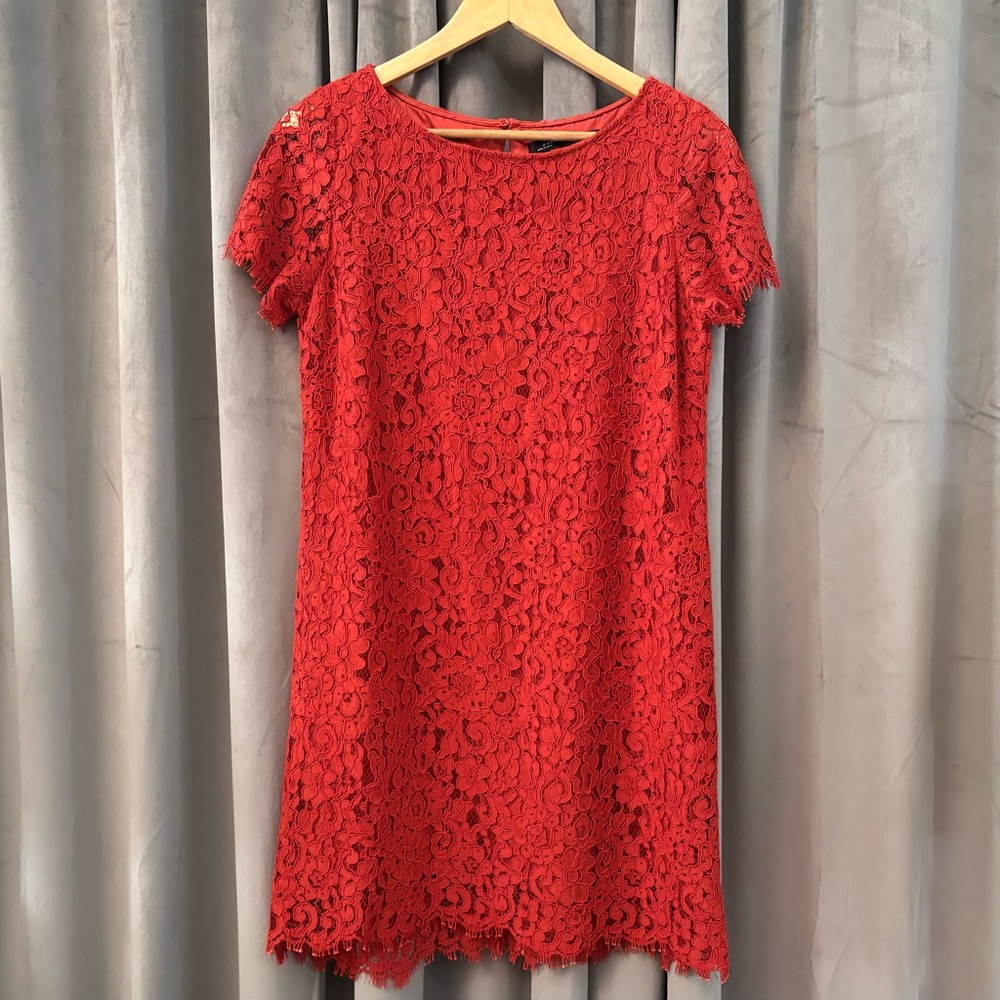 Stunning Zara Crochet Lace Short Sleeve Sheath Dress | Medium